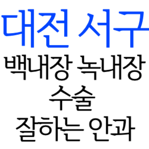 대전 서구 백내장 녹내장 수술잘하는곳 안과 병원 추천 5곳 후기 수술 가격 비용 비교 치료 증상 좋은음식 수술 후 주의사항 알아보기