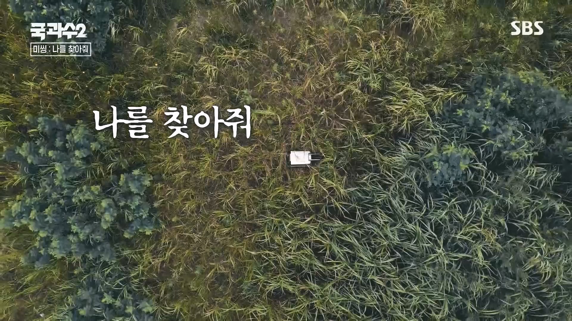 SBS 스페셜.E651.230903p.H264-F1RST.mp4_20230905_211436.407.jpg
