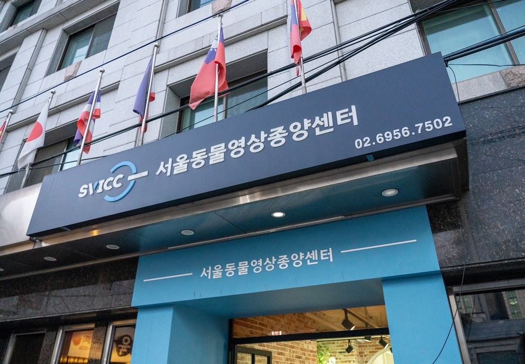 서울동물종양센터