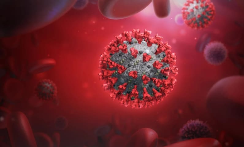  O형 혈액형, 코로나에 강해...A형은 취약 Genetic study reveals causal link between blood type and COVID severity