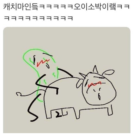  19)캐치마인드 근황