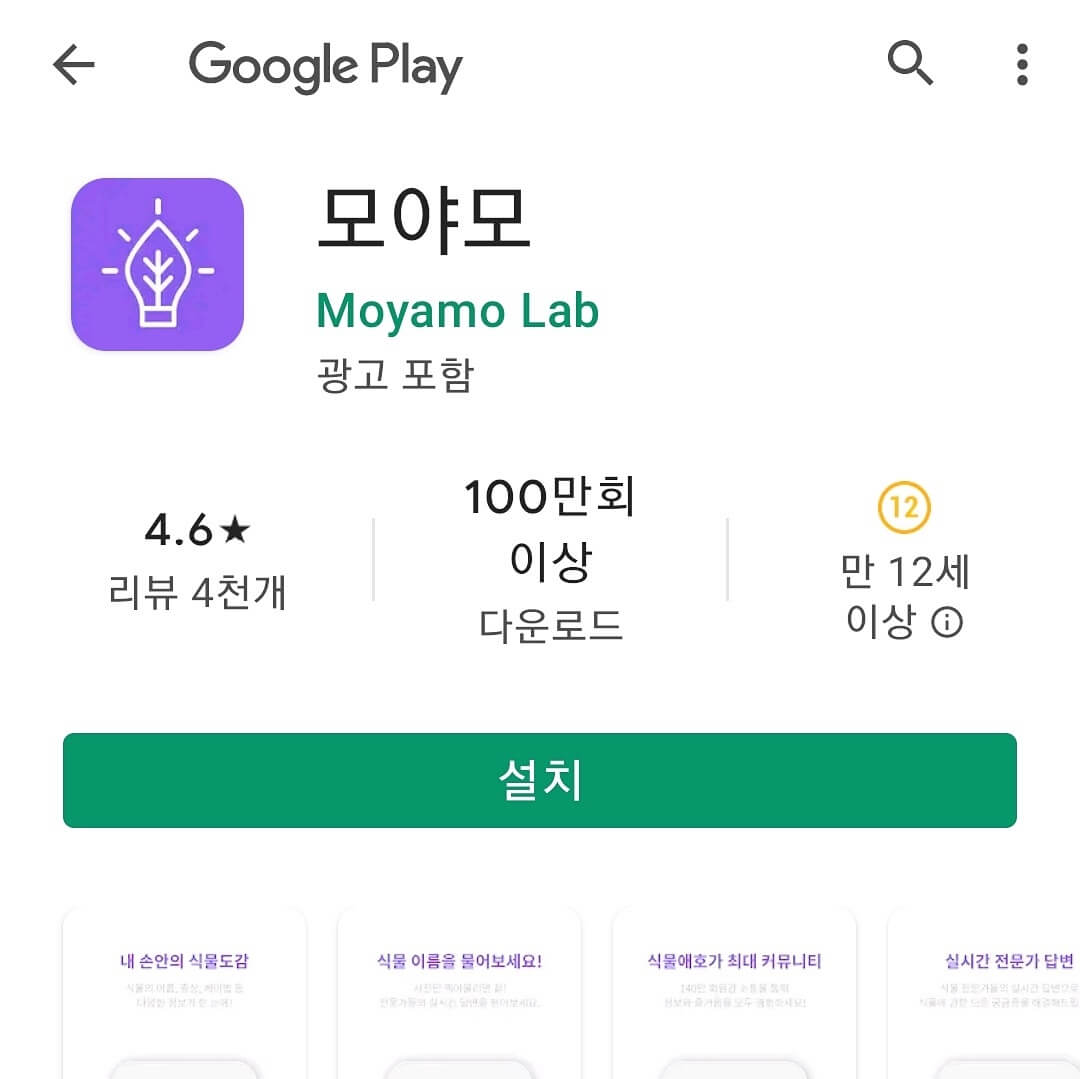 모애모-앱