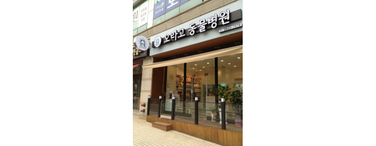 서울 양천구 동물병원