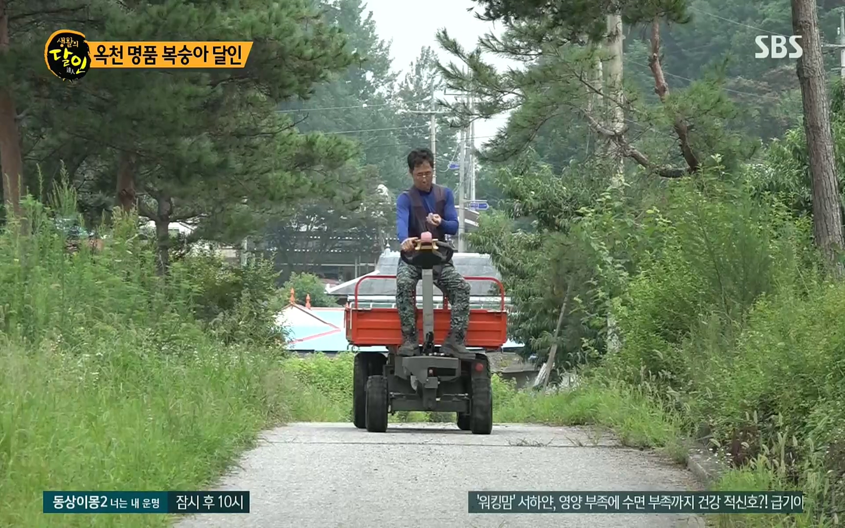 생활의 달인.E856.220815p.H264-F1RST.mp4_20220816_203843.244.jpg