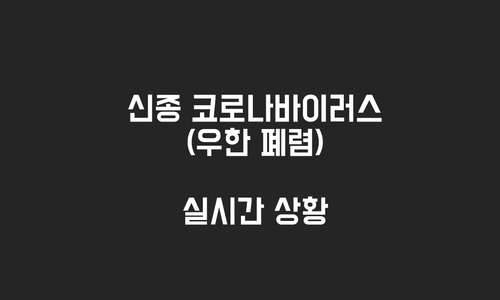  한국인이 꼭 알아아 할 유용한 코로나 맵 6가지