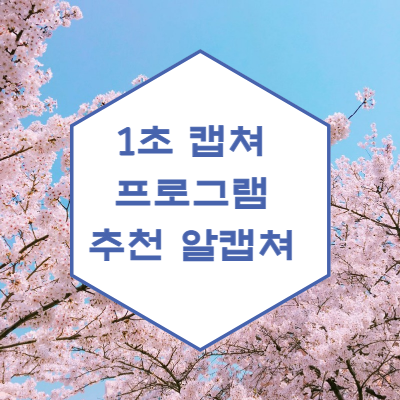  1초 캡쳐 프로그램 추천 알캡쳐