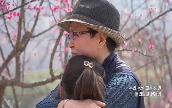 다큐 인사이트 - KBS인생정원 - 붉은 매화가 피면] 봄이면 가장 먼저, 그리고 가장 붉게 피어나는 강인한 소성의 매화.ts_20220818_205142.703.jpg