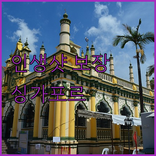 인생샷 보장 싱가포르 마리나 베이 샌