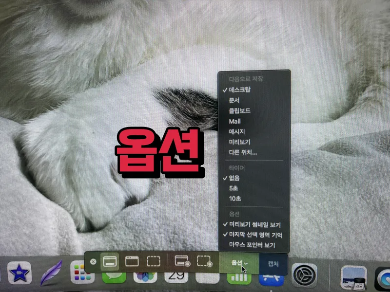 옵션