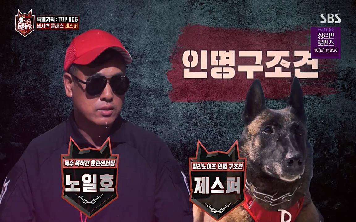 TV 동물농장.E1085.220905p-NEXT.mp4_20220904_172142.939.jpg