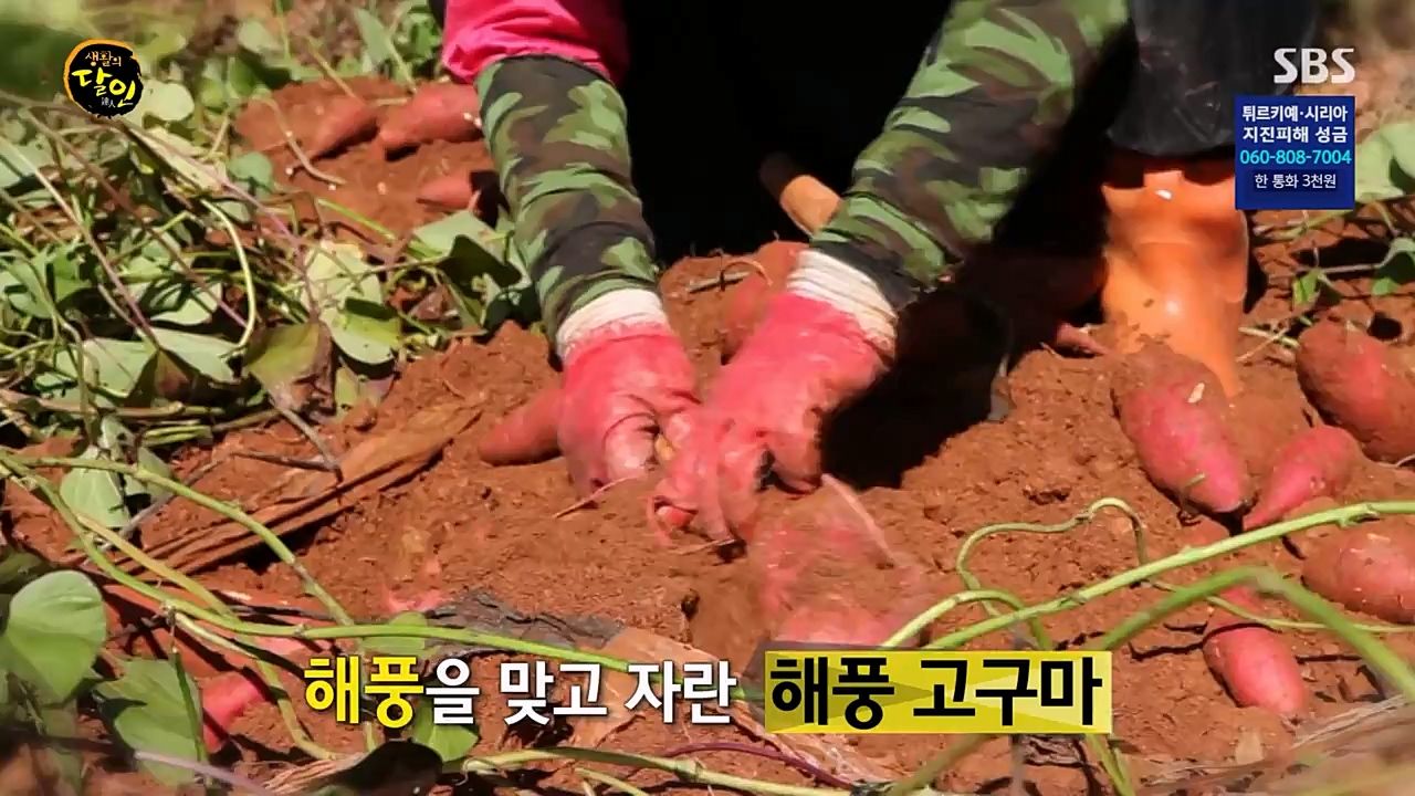 생활의 달인.E877.230221p-NEXT.mp4_20230222_194343.614.jpg