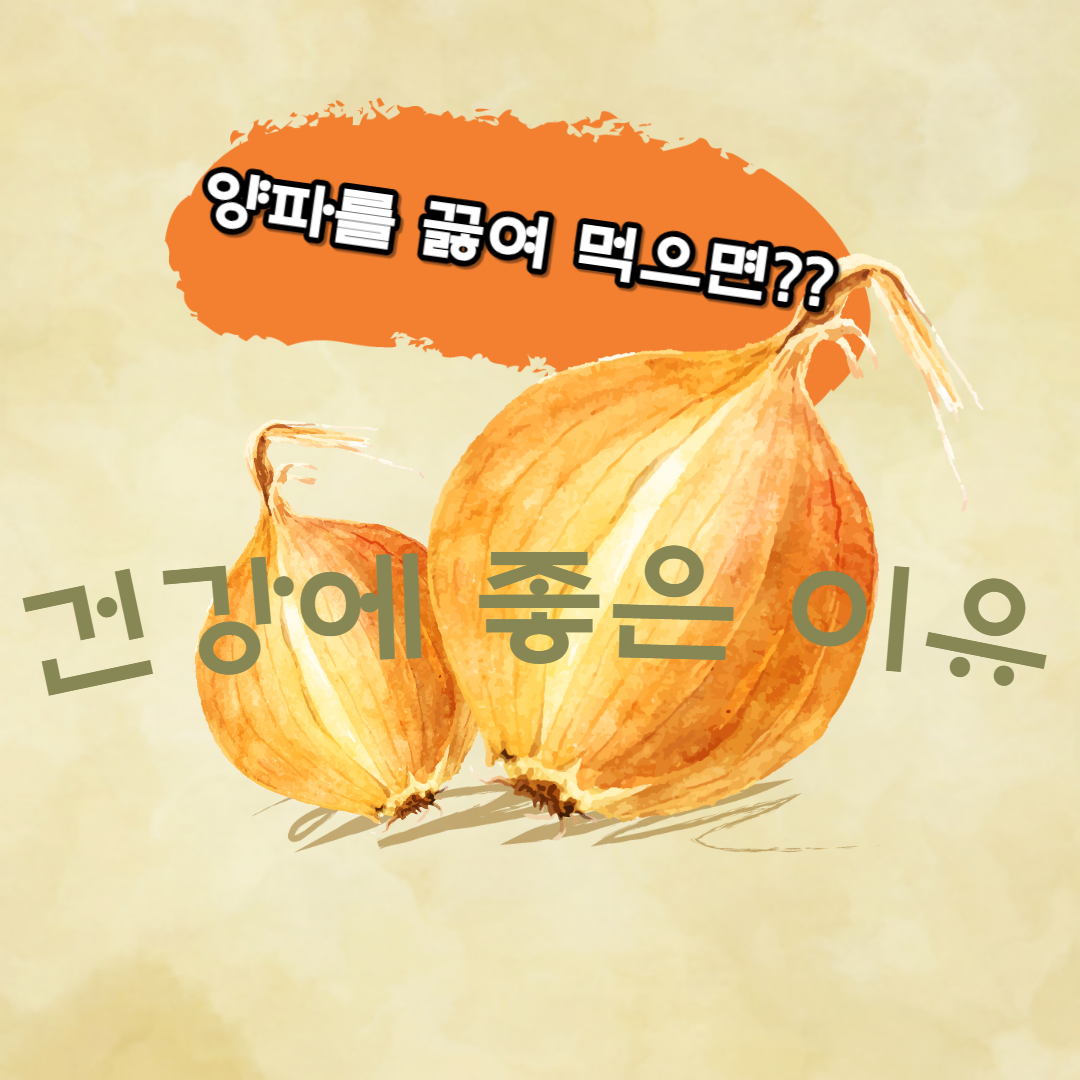 양파 끓여 먹기: 건강에 좋은 이유와 양파 수프 레시피