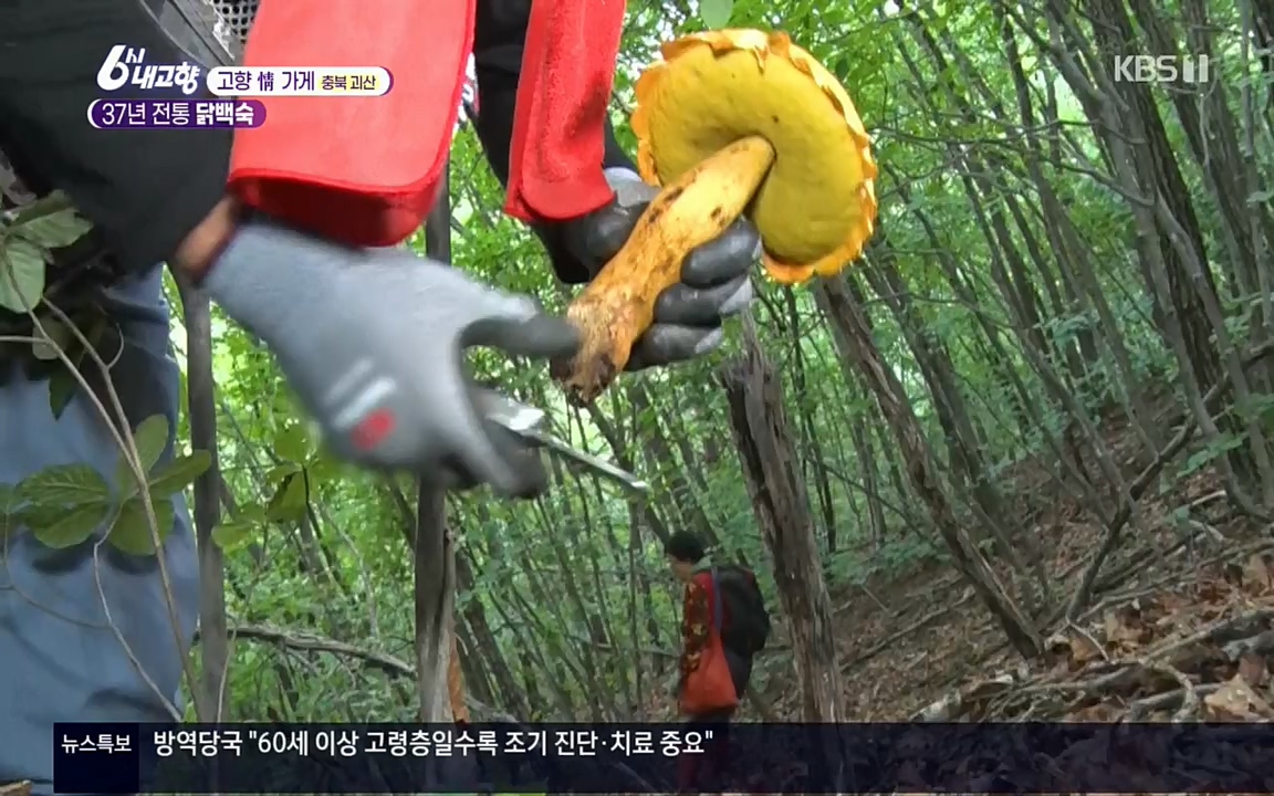 6시 내고향.E7602.220824p.H264-F1RST.mp4_20220825_171323.115.jpg