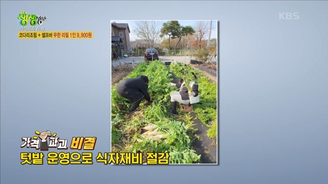  출처 : 생생정보 가격 파괴why 