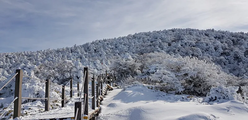 제주 한라산 설경 겨울왕국