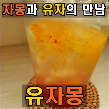  자몽과 유자의 만남 유자몽