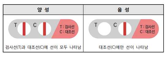 얼리임테기-판정결과