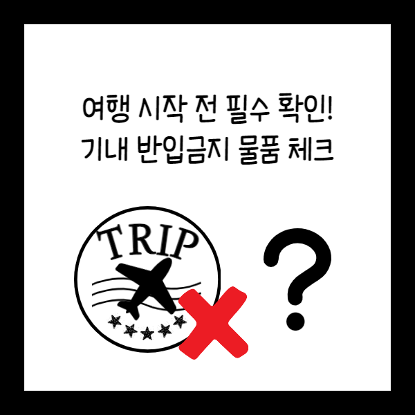  기내 반입금지 물품 체크! (착각할 수 있는 물건들까지!)