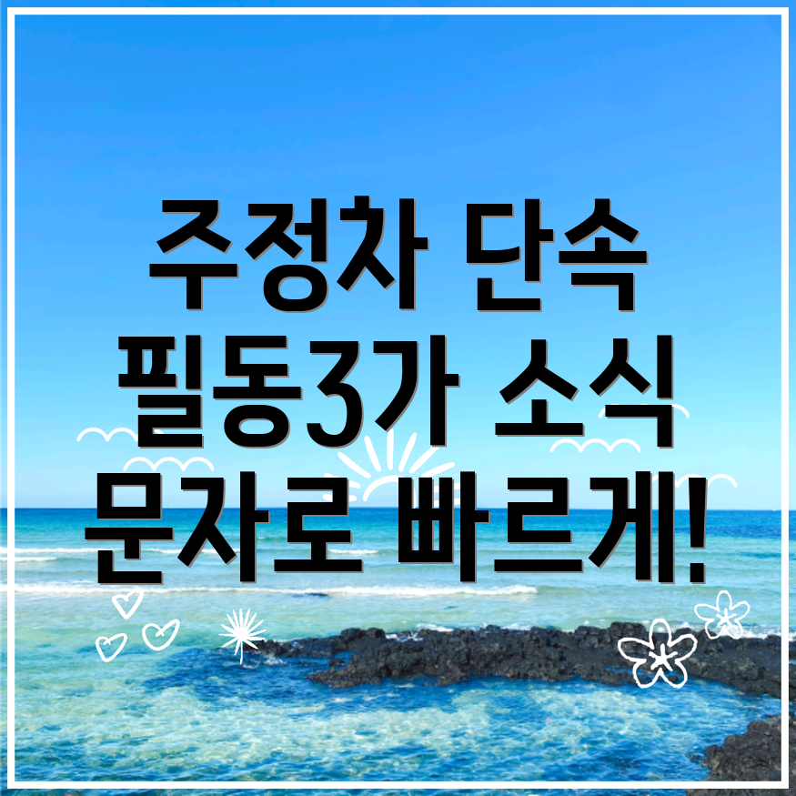 주정차 단속 문자알림 서비스