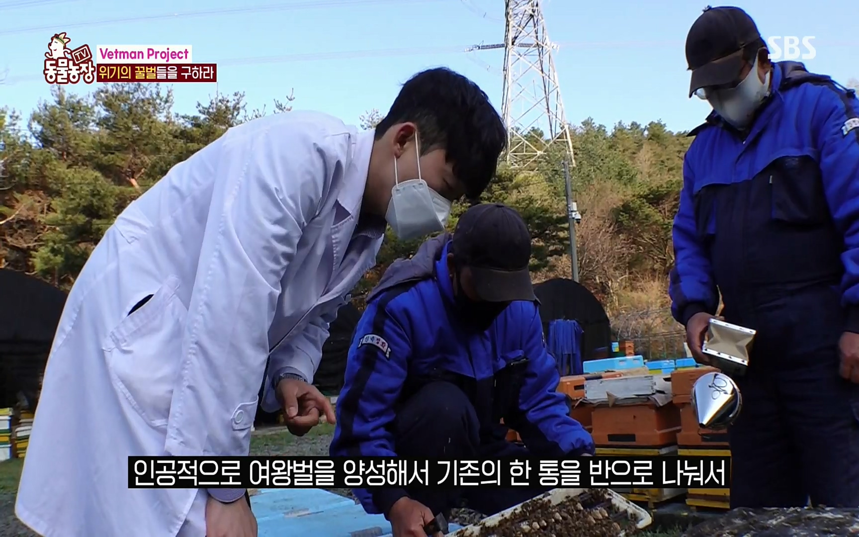 TV 동물농장.E1072.220605p.H264-F1RST.mp4_20220605_181127.168.jpg