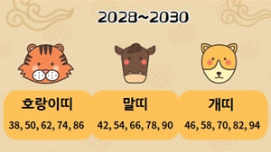 2028-삼재띠