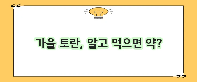 가을 토란 수확 시기와 효능, 활용법, 부작용 및 칼로리 정보
