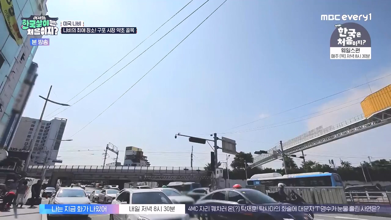 어서와 한국살이는 처음이지.E16.230905p-NEXT.mp4_20230906_204033.171.jpg