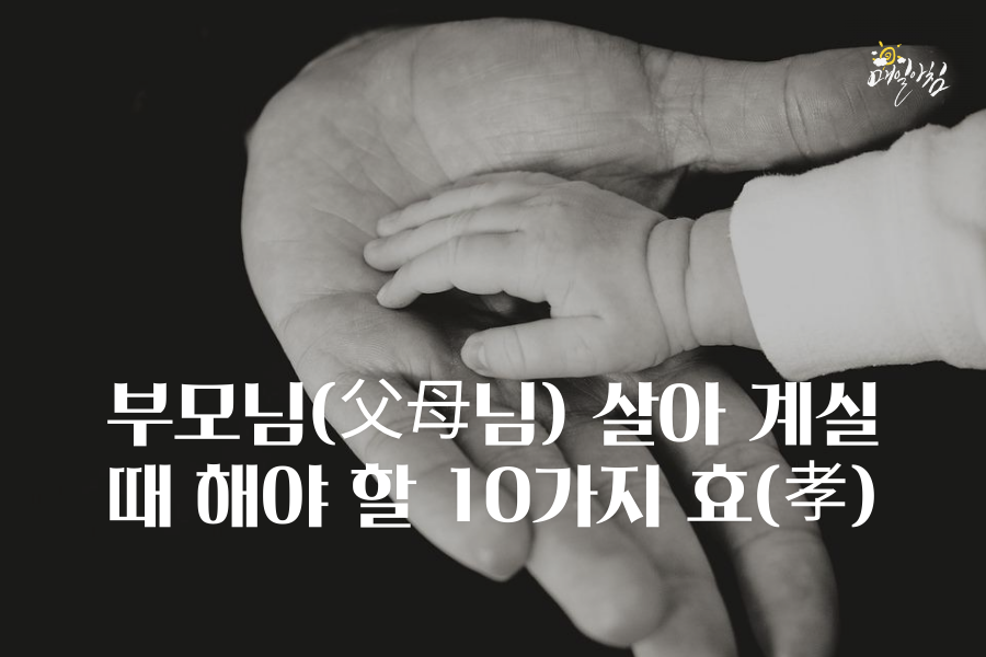  [매일아침좋은글] 부모님(父母님) 살아 계실 때 해야 할 10가지 효(孝)