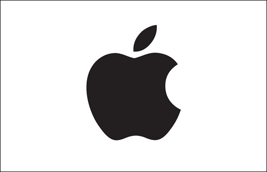 애플 Apple Inc. 배당금 지급 정보 분기배당/2,5,8,11월