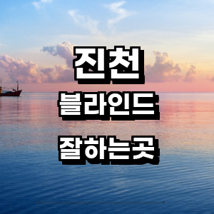 진천군 블라인드