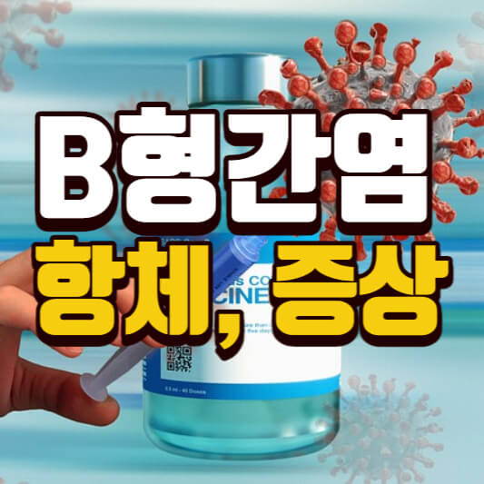  B형간염항체 보균자 증상 전염 예방접종 모두 알아보기!