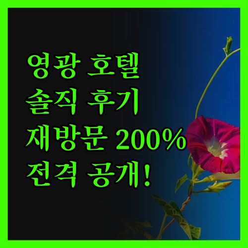 영광 호텔 더 스타, 재방문율 200