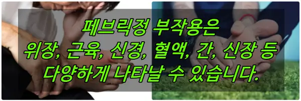 페브릭정 부작용