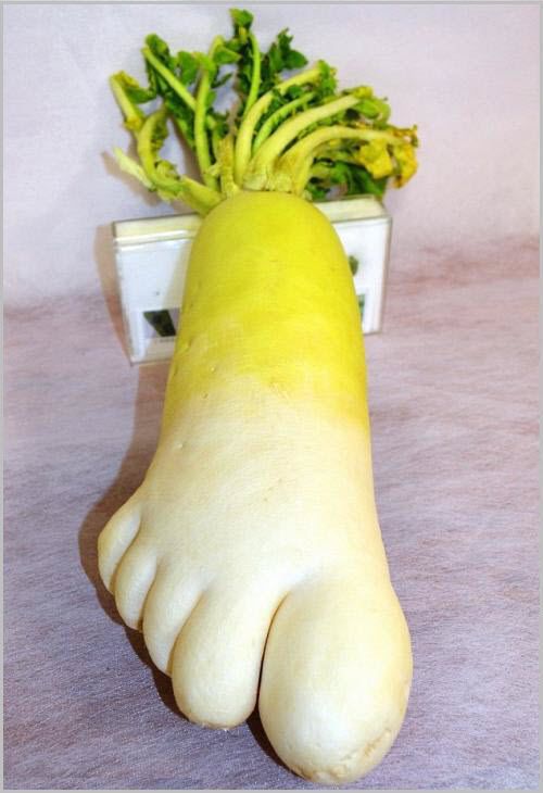img.jpg