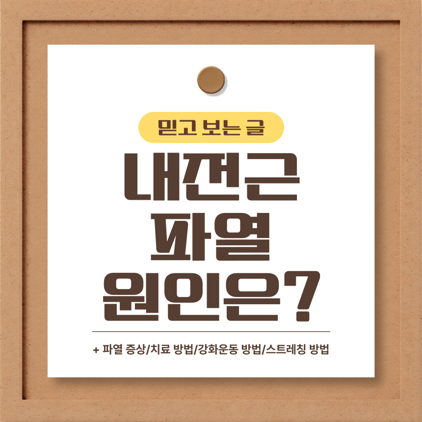  내전근 파열 원인은?