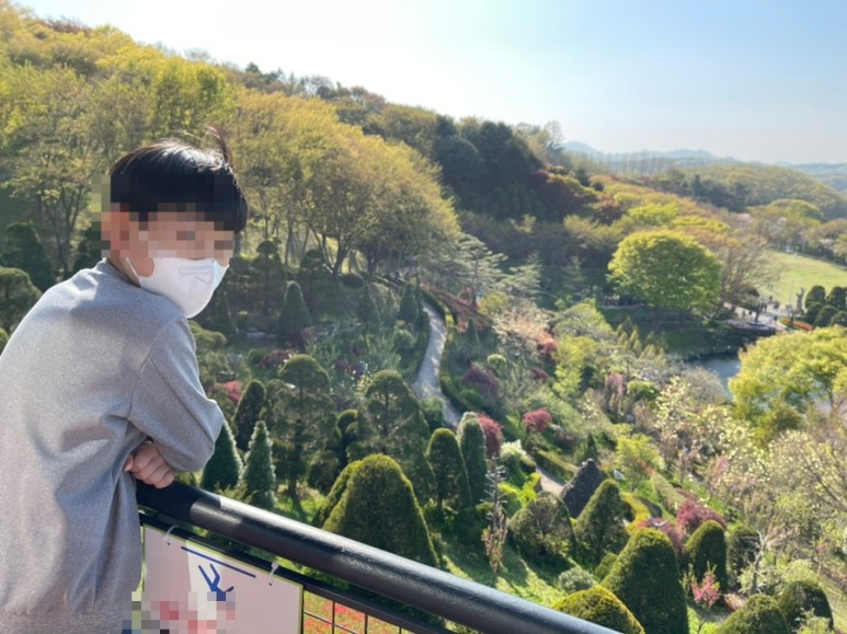 세종 가볼만한곳세종 가볼만한곳베어트리파크 17