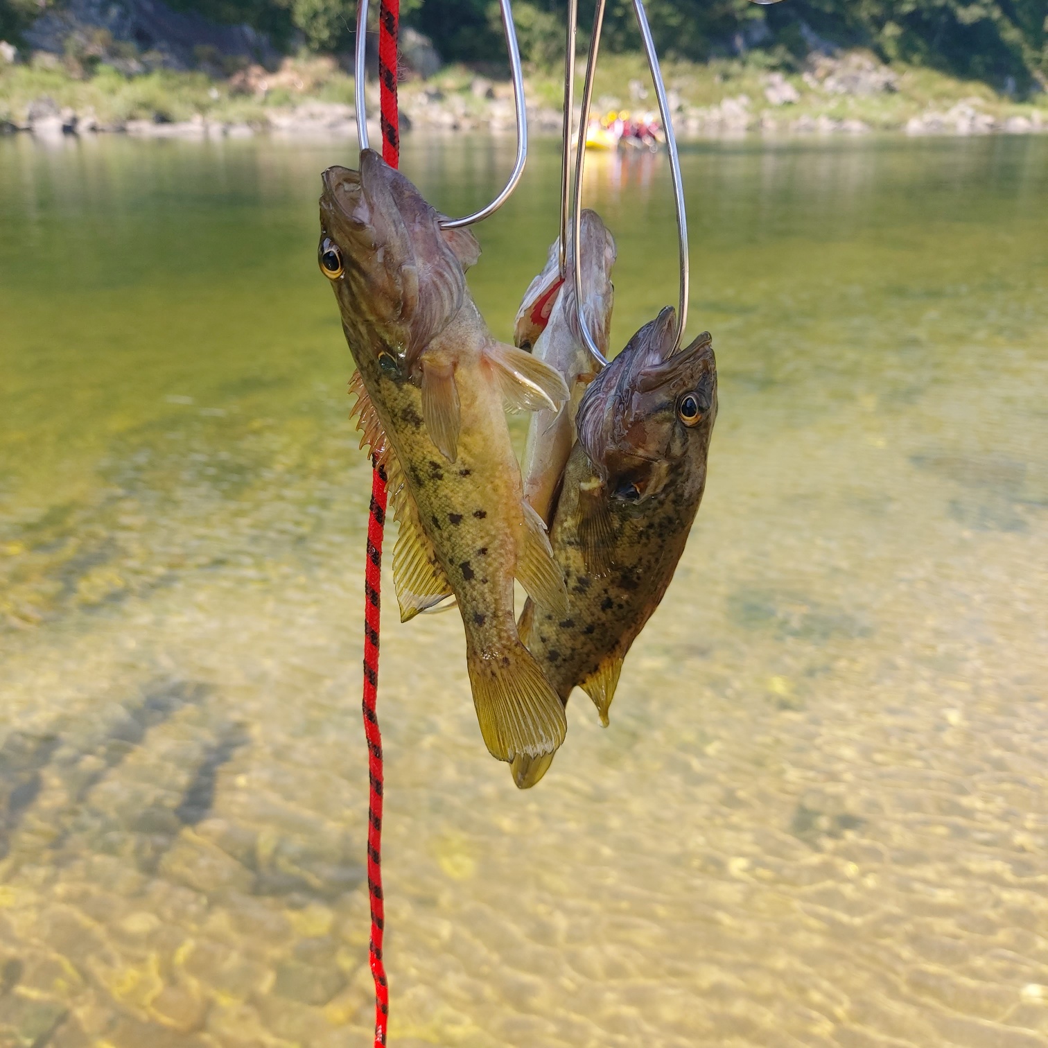 산청낚시 이미지