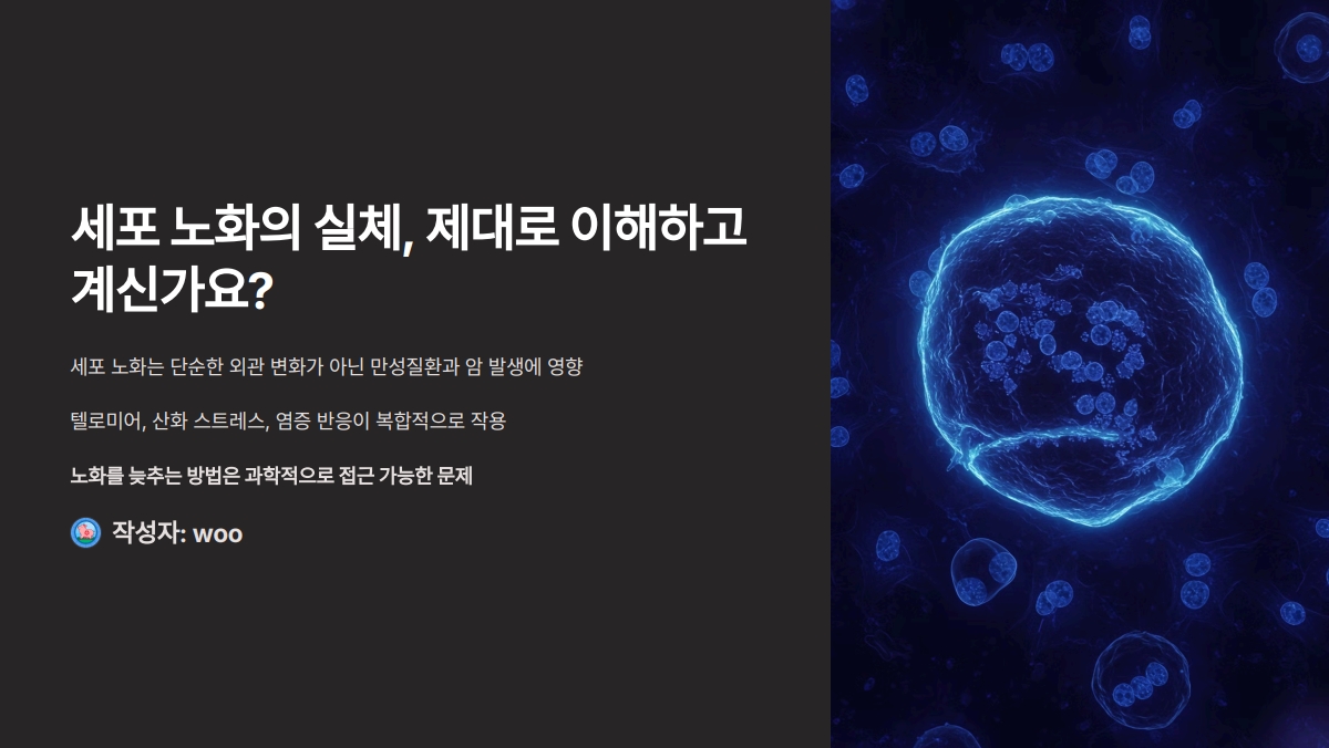 세포 노화