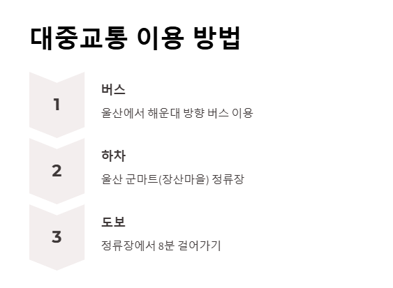 울산 군마트 영업시간