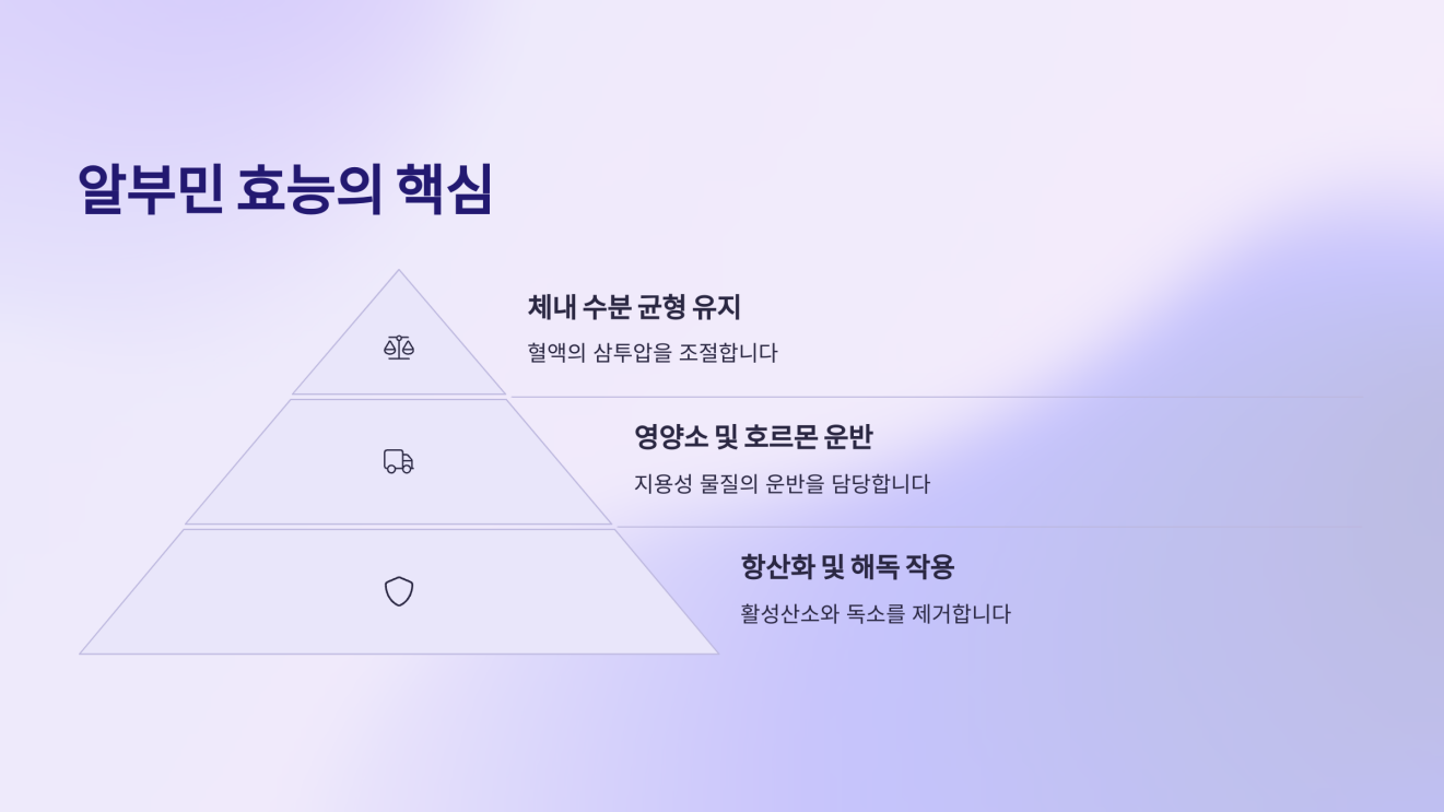 알부민 효능 3