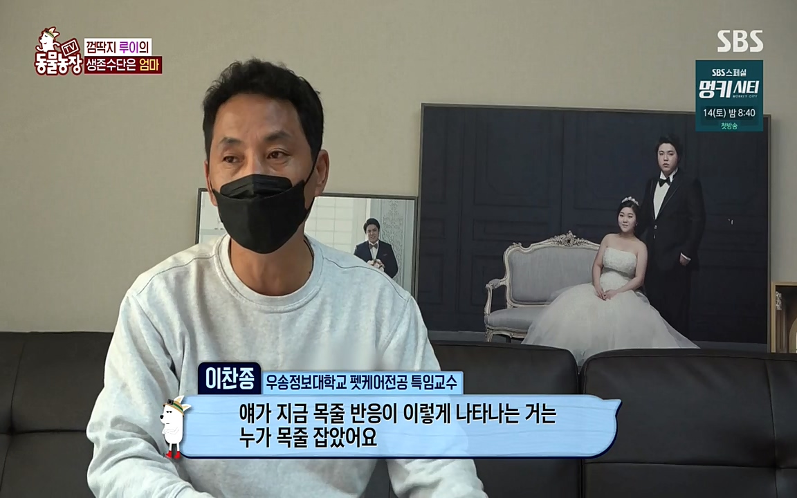 TV 동물농장.E1068.220509p-NEXT.mp4_20220508_173815.246.jpg
