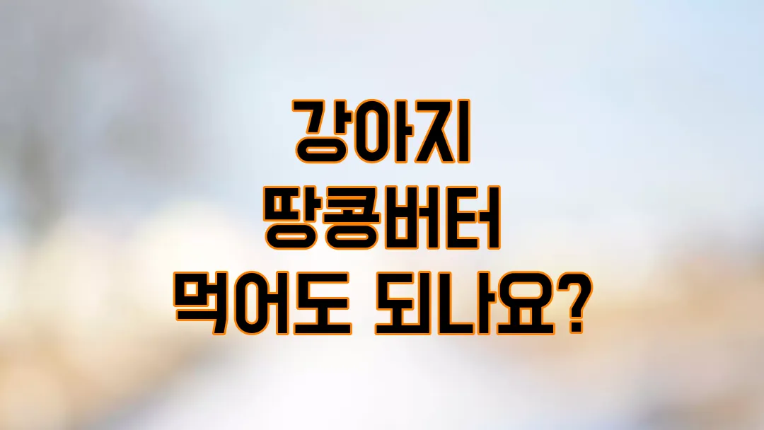 강아지 땅콩버터 먹어도 되나요?