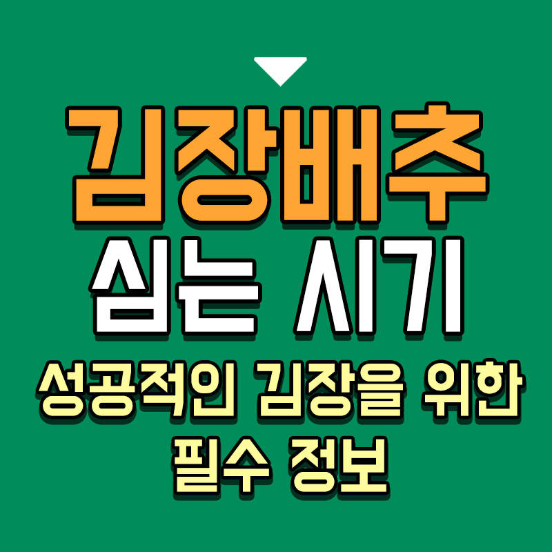 타이틀-장배추-심는-시기-성공적인-김장을-위한-필수-정보