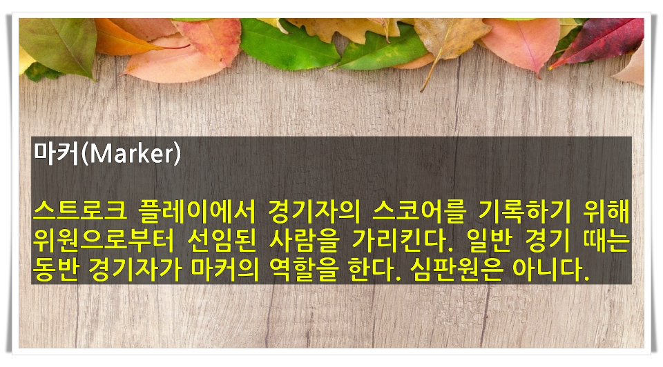  골린이를 위한 골프용어 [11]