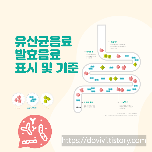  유산균음료 발효음료 기준 규격 및 표시사항
