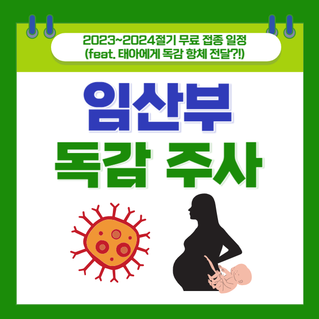 [임산부 독감 주사] 무료 접종 일정 (feat. 태아에게 독감 항체 전달?!)