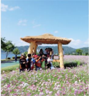 구리 코스모스 한강예술제 축제 : 기본정보, 출연가수, 주차정보