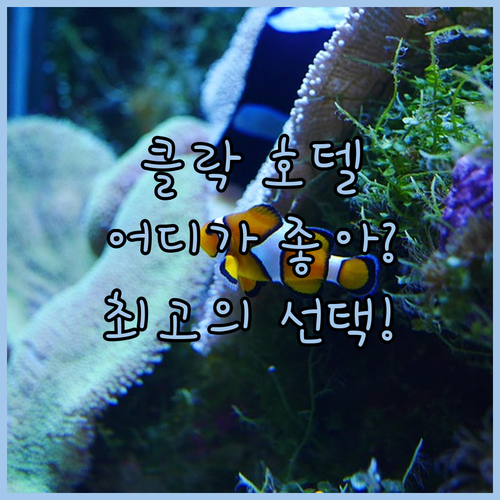 클락 호텔 고민 끝! 힐튼 vs 로이