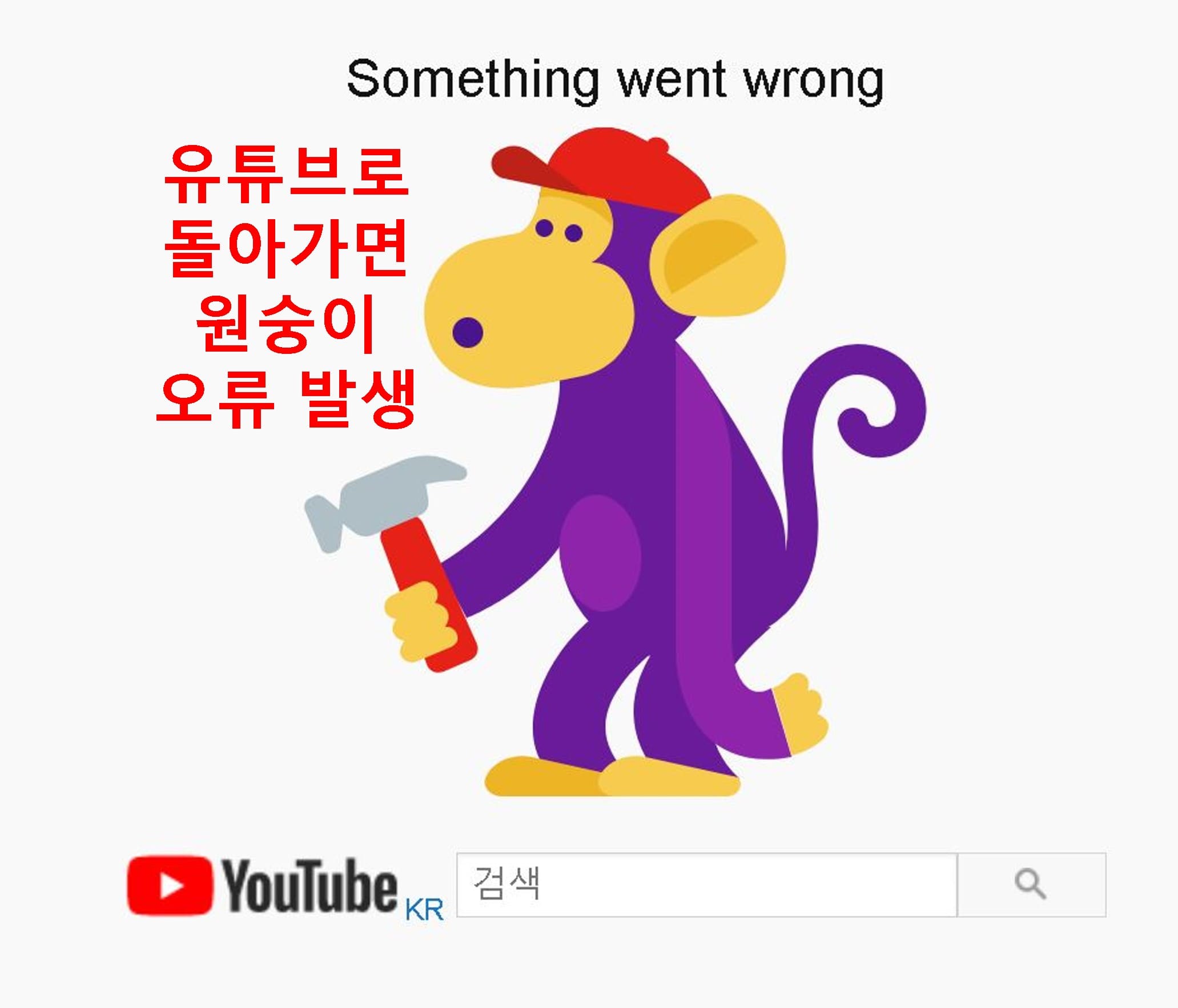 유튜브-원숭이-오류