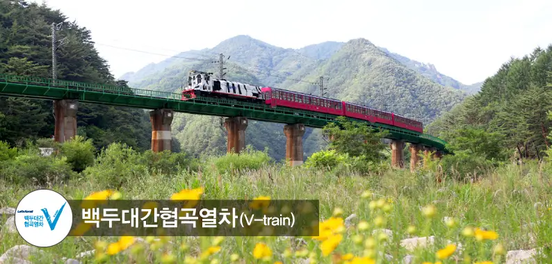 백두대간 협곡열차 예매